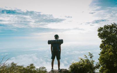 Továbbtanulás és világjárás